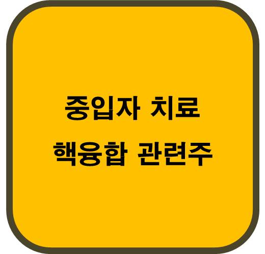 중입자 치료 핵융합 관련주