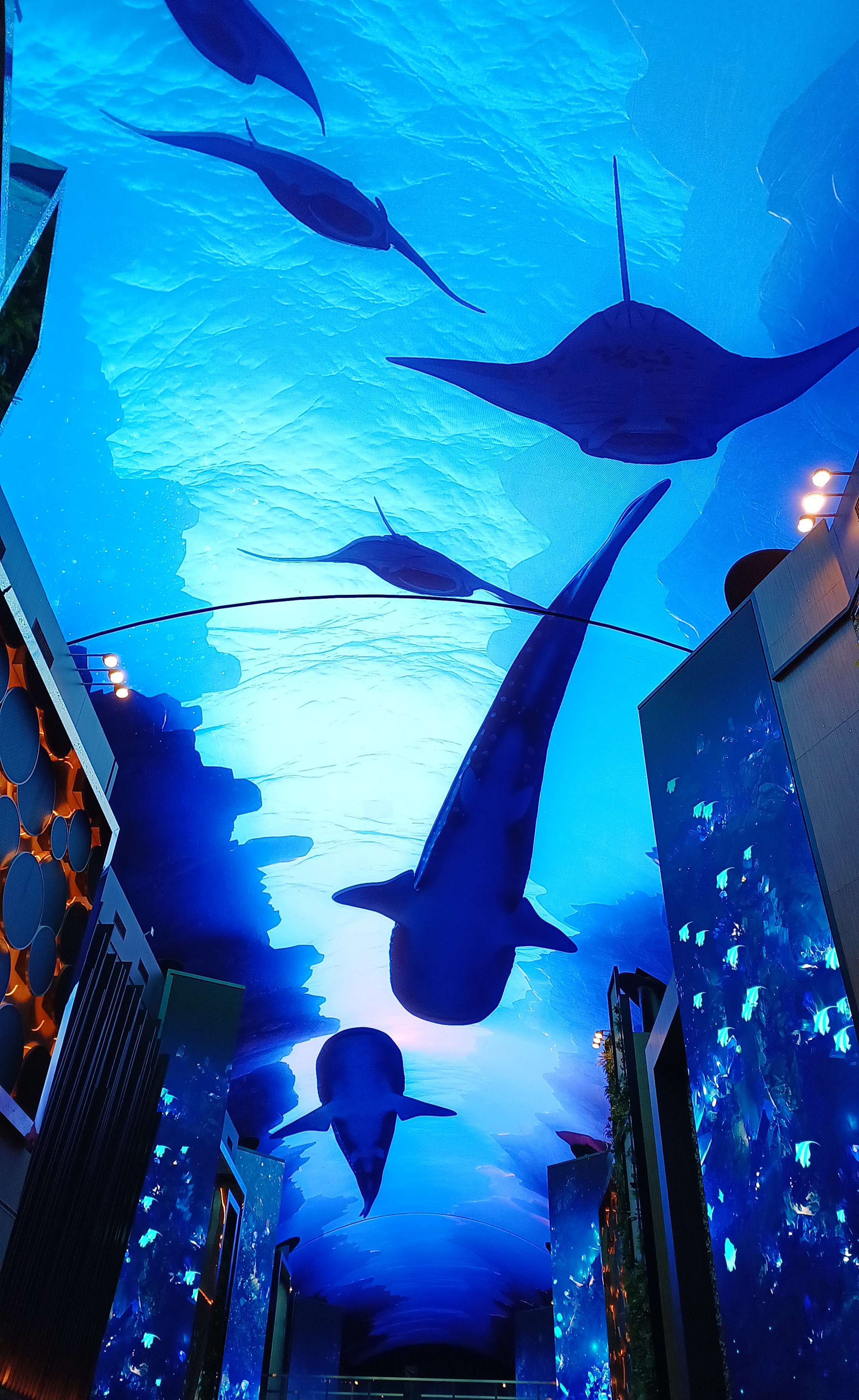 인스파이어-오로라-고래쇼-6