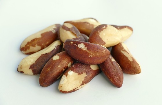 브라질너트(브라질넛) 효능 및 부작용, 하루 섭취량, 셀레늄함량, 먹는방법, 보관방법