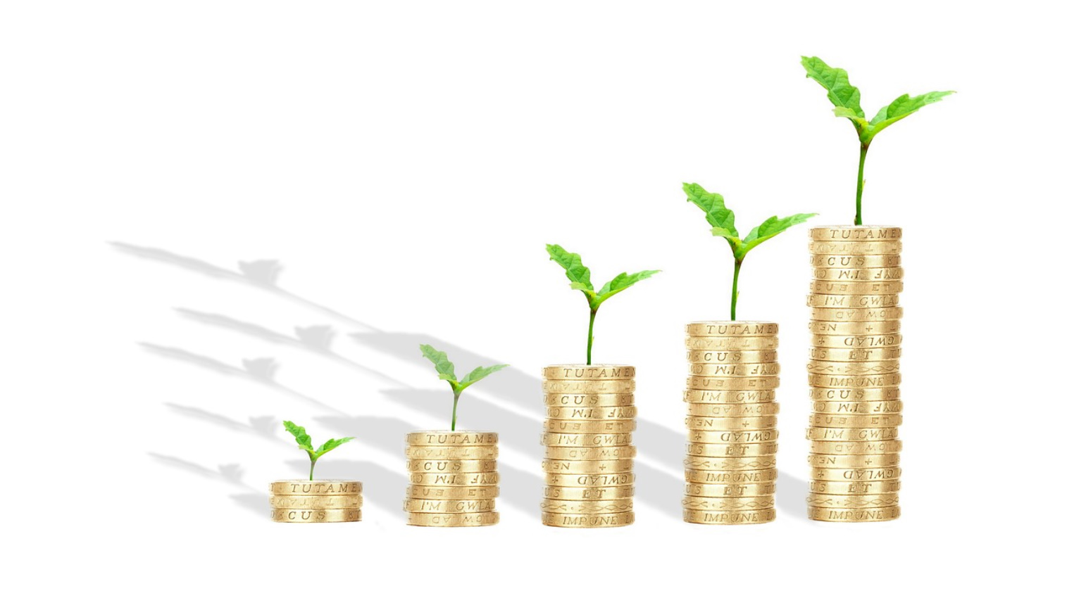 법인이 꼭 필요로 하는 정관 조항 5가지