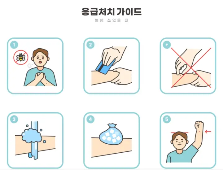 소방청 벌쏘임 응급처치 가이드