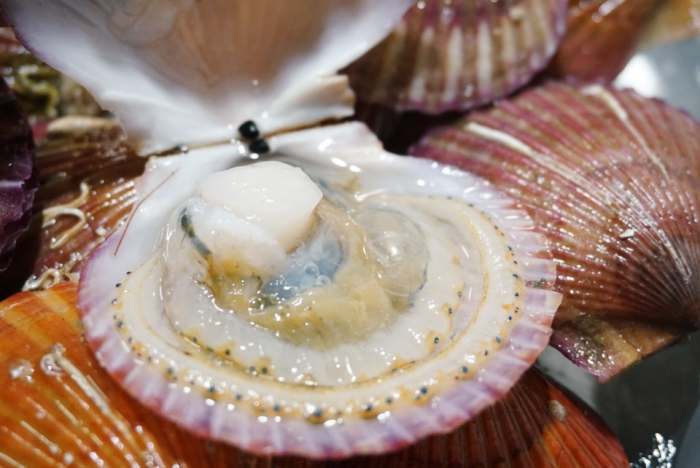 생방송오늘저녁 수산물 유통 50억 버는 청년 비법과 통영 제철 상품 전국 택배 온라인 주문 방법