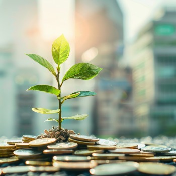 삼성전자 005930 삼성전자우 005935 1분기 배당금 지급 배당일 1