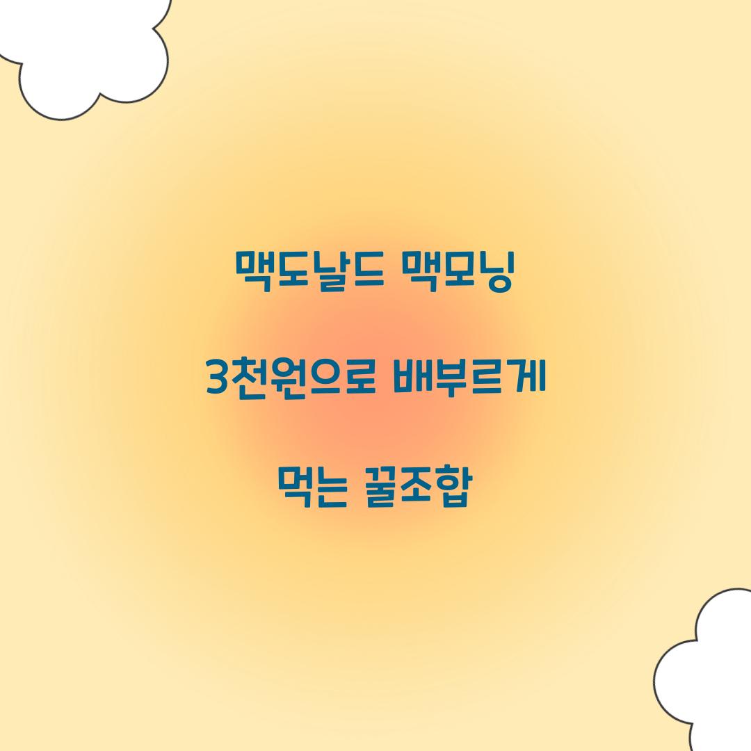 맥도날드 맥모닝 3천원으로 배부르게 먹는 꿀조합