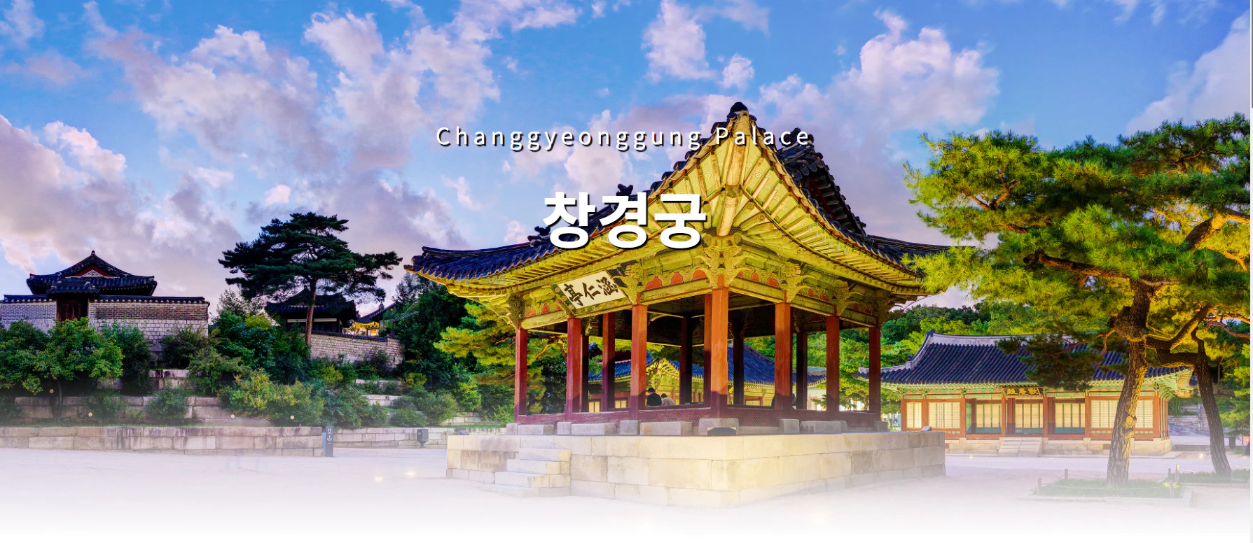 창경궁 야간개장