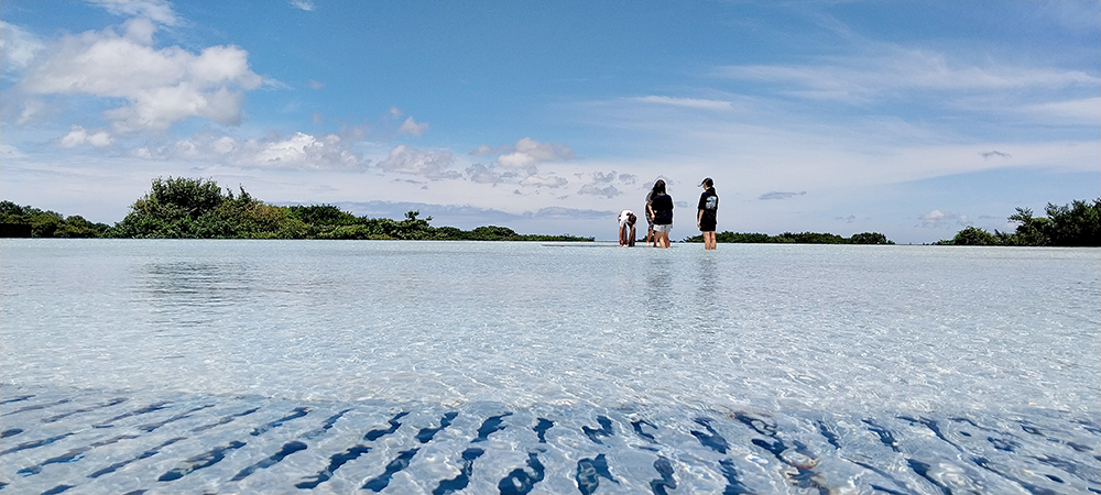 제주돌문화공원 하늘연못