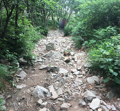 황금산8