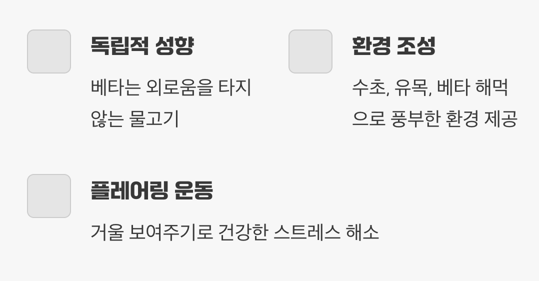 외로움이 아닌, 안정감이 필요합니다