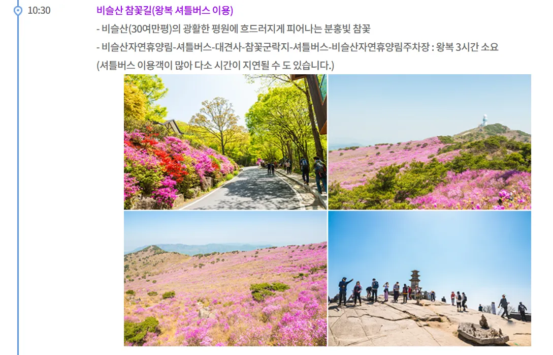 대구 달성 비슬산 여행자클럽 버스 투어