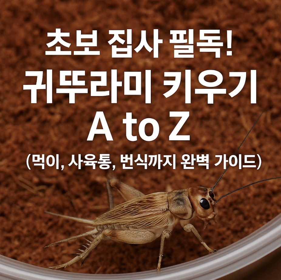 초보 집사 필독! 귀뚜라미 키우기 A to Z (먹이, 사육통, 번식까지 완벽 가이드)