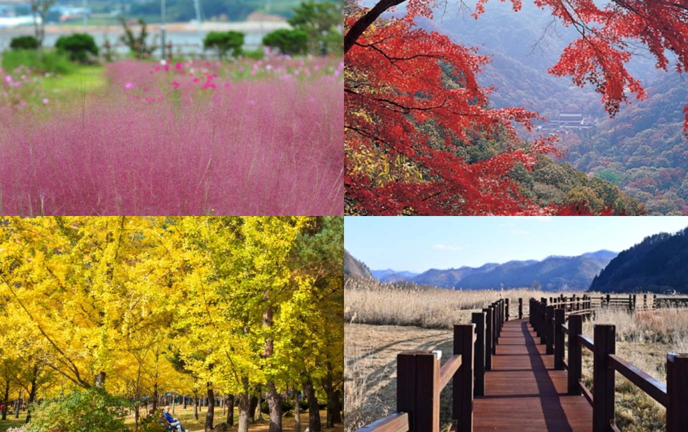 가을 여행하기 좋은곳