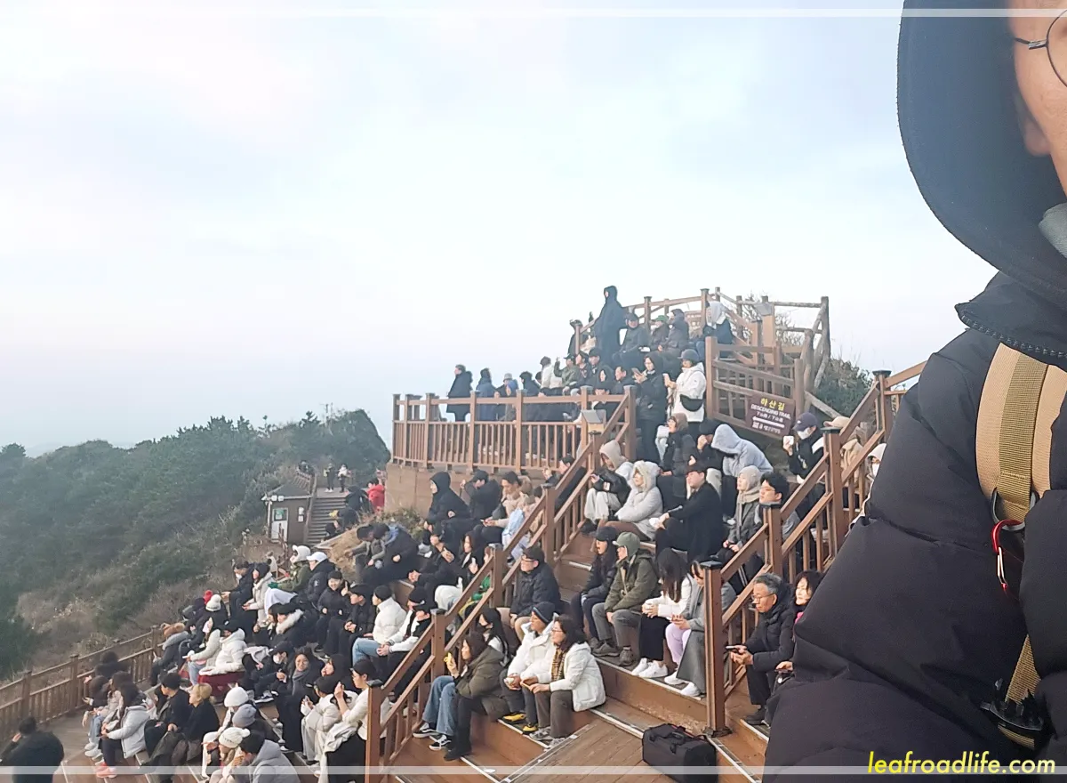 제주-성산일출봉-정상-앉아있는-사람들