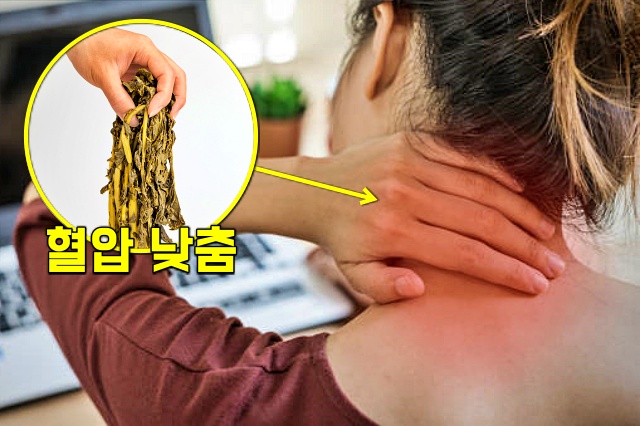 시래기 효능 고혈압 당뇨 고혈당 고지혈증에 좋은 음식 대장암 예방, 생활 건강 팁줌 매일꿀정보