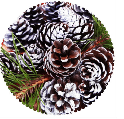 솔방울을 이용한 가습