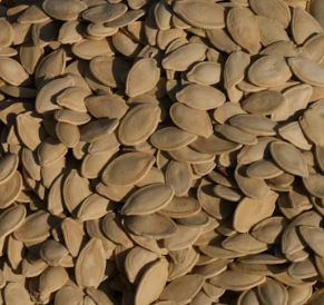 단백질 많은 음식 식물성 동물성