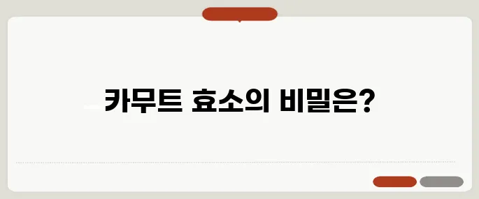 카무트 효소 효능 제대로 알기 장 건강 챙기고 싶다면
