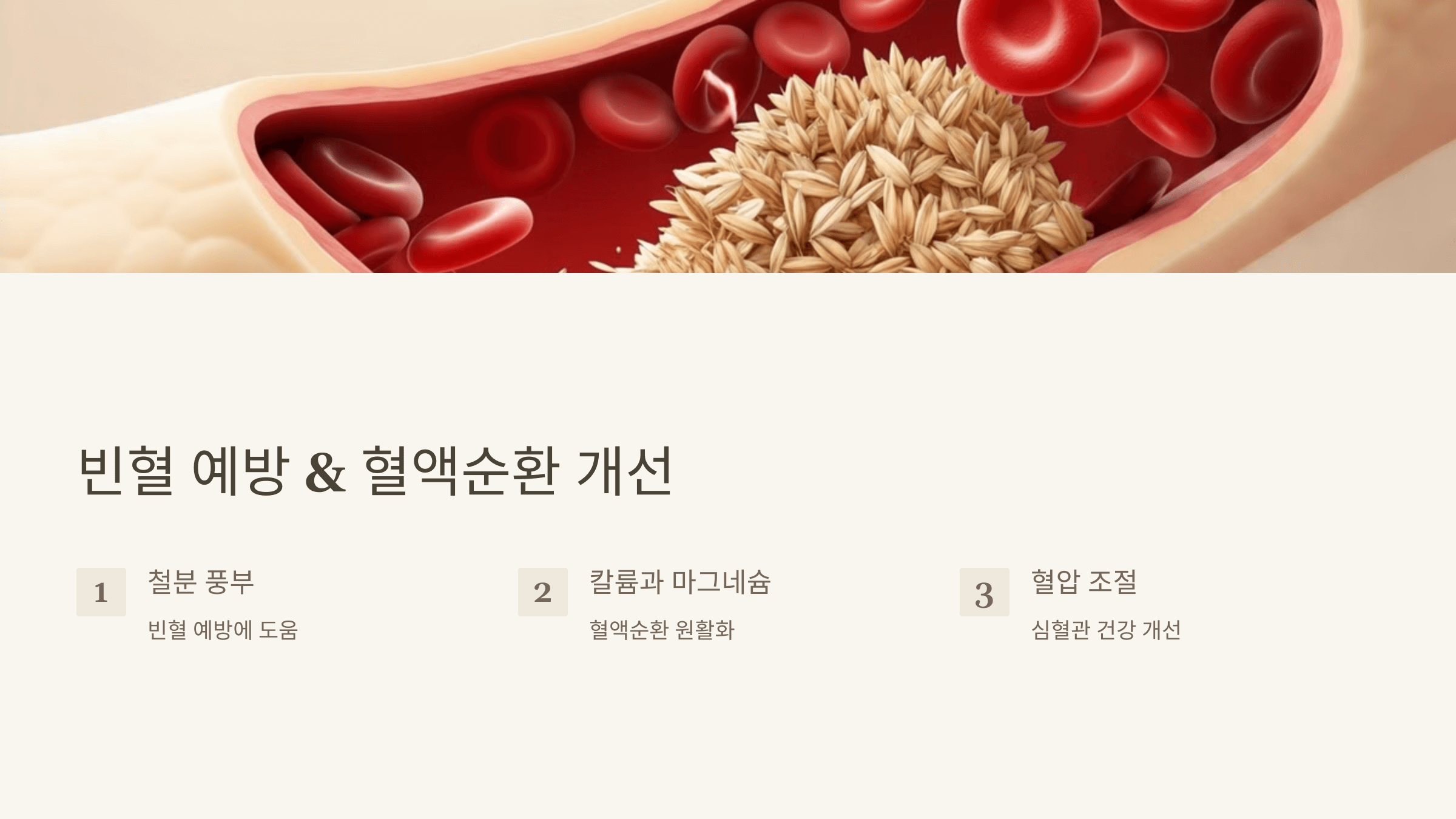 귀리 사진입니다.