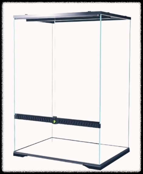 크레스티드-게코-엑소테라-사육장