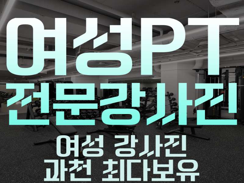 1.1 가격 및 서비스