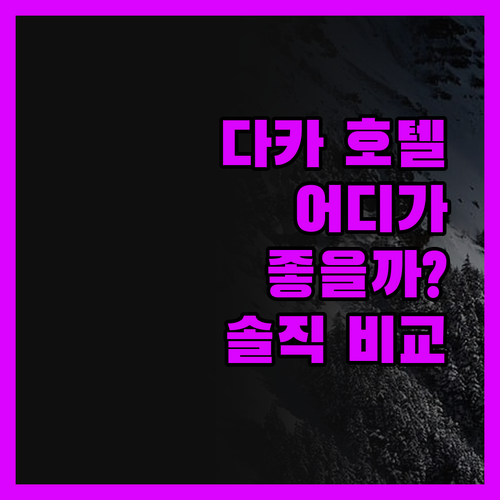 다카 호텔 선택? 솔직 후기 난디니