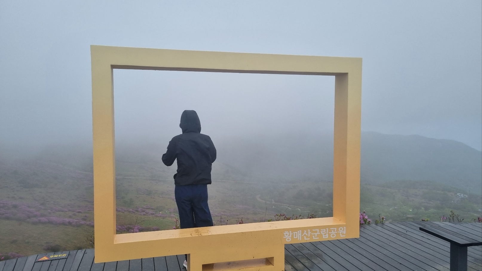 합천 황매산 철쭉28