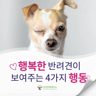 행복한 반려견 맞이하기 나에게 맞는 강아지 선택 가이드_22