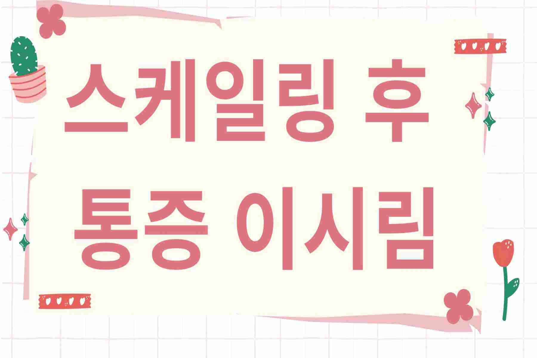 스케일링 후 통증 이시림