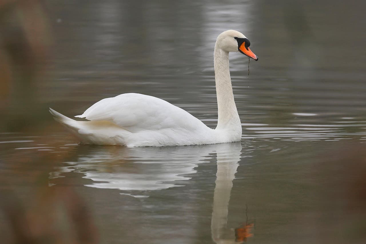 기초과학 중심 아북극&middot;아고산대 식생 변화의 위성 기반 &lsquo;고도별(Altitude) 분석&rsquo;