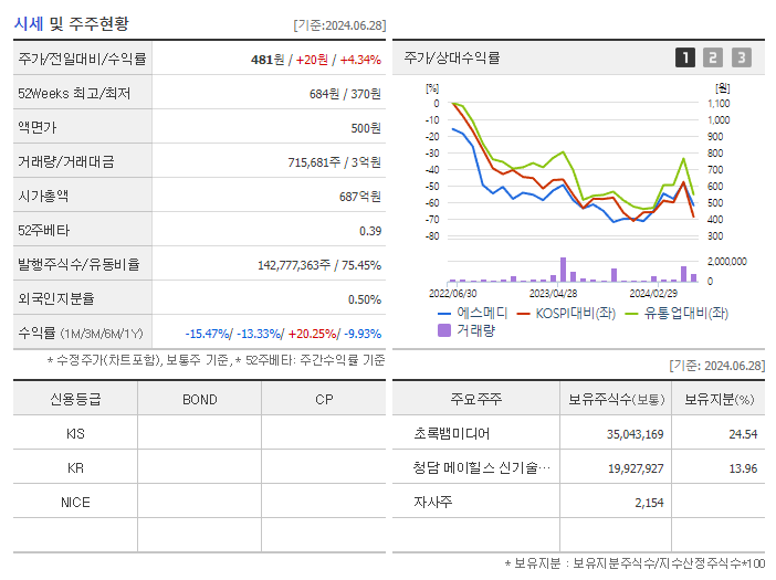 에스메디_기업개요