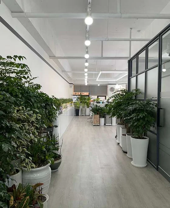 조만식세무회계사무소