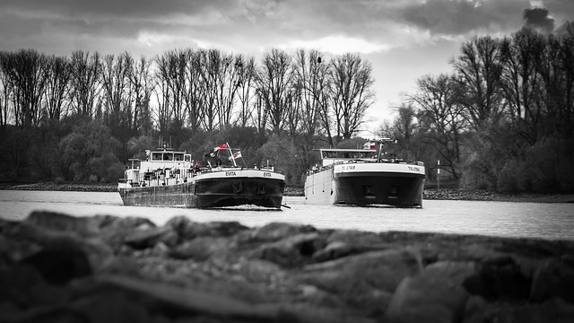 화물운송종사자 보수교육 지금 확인 3