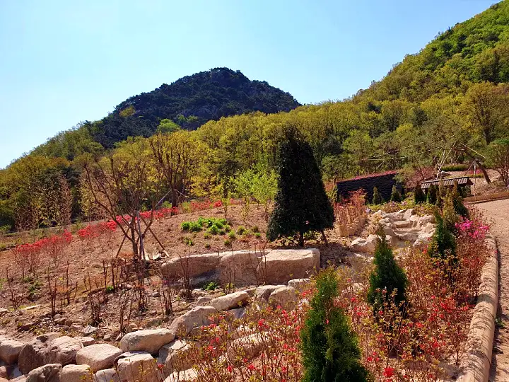 우리 캠핑 왔어요 경북 문경 단풍 모노레일 사과 따기 과수원 농장 체험 오토 캠핑장 가볼만한 곳 추천