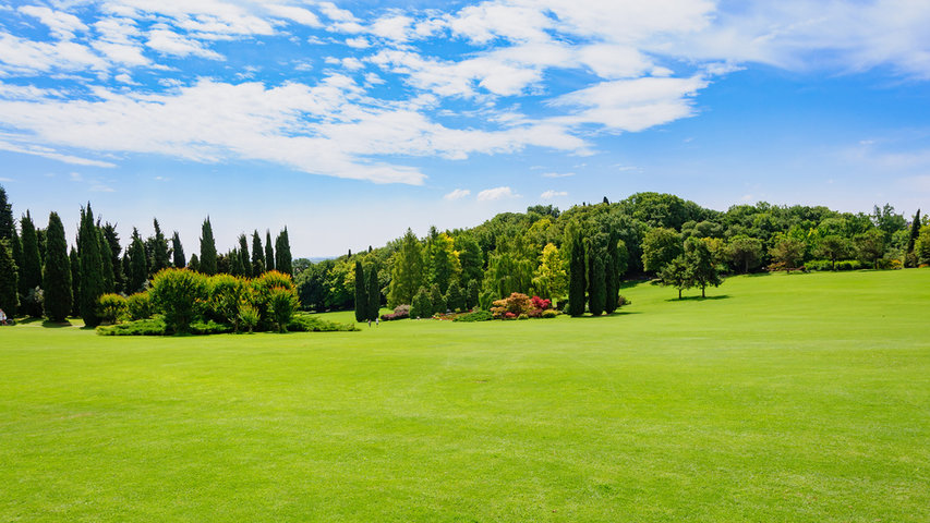 파크골프 경기 규칙, 레슨 등 알아보기