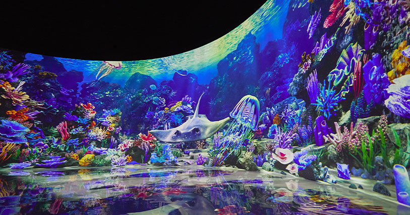 뮤지엄딥다이브1