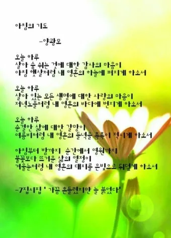 천주교 새벽을 시작하는 은총의 아침기도문 모음_9