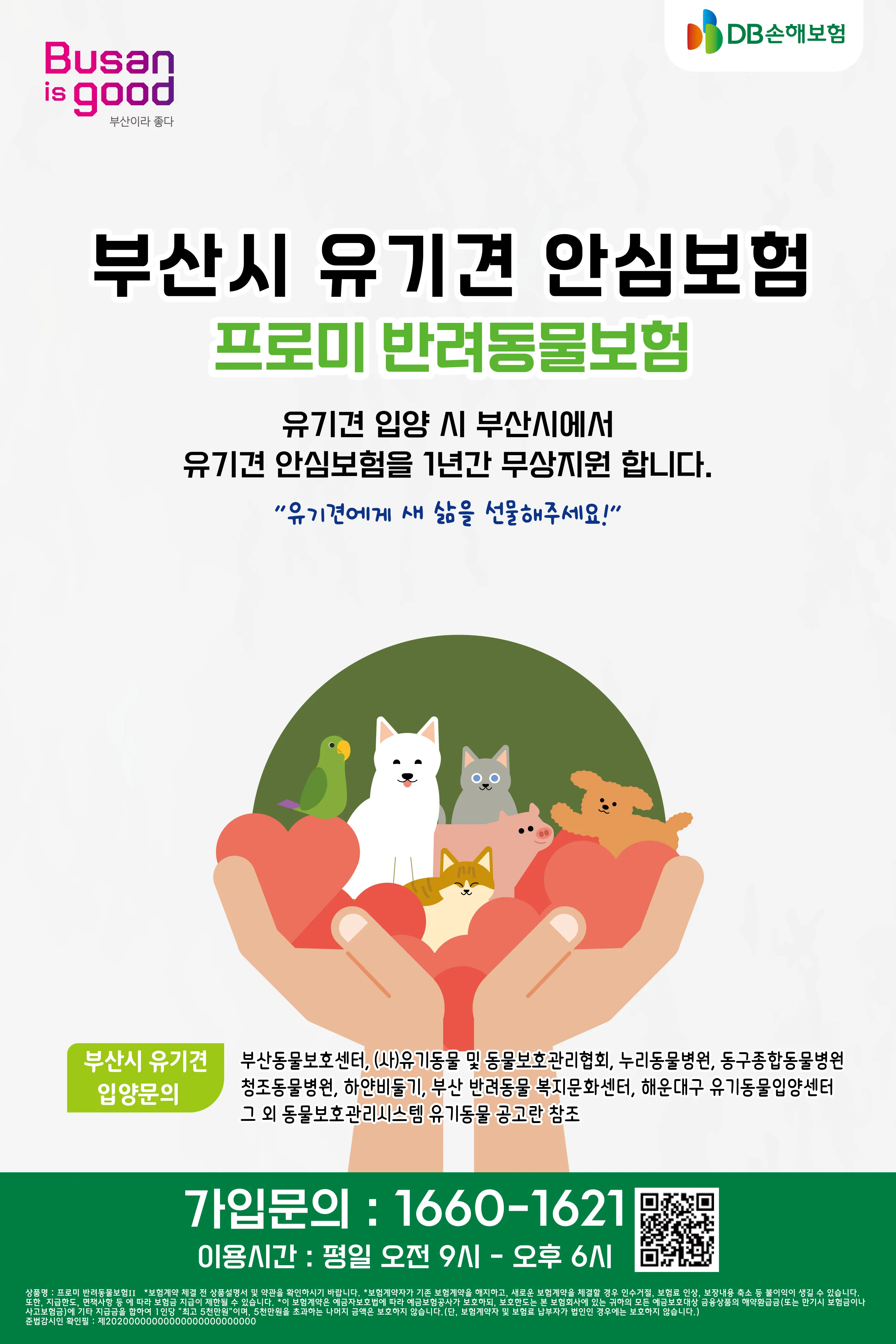 유기견 안심보험