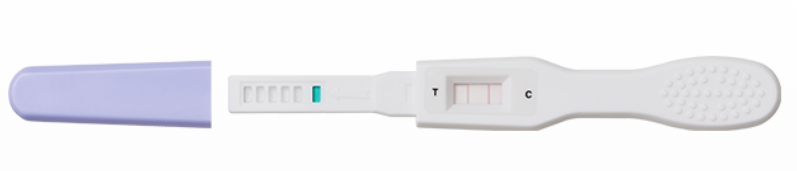 갱년기 테스트기 사용법