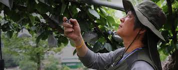 손해평가사 시험과목, 시험일정, 합격률, 전망