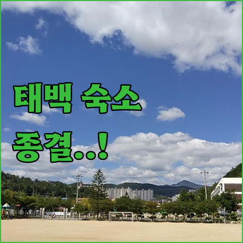 태백 호텔부터 가성비 숙소까지 인기 ..