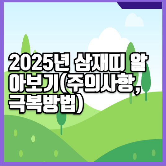 2025년 삼재띠