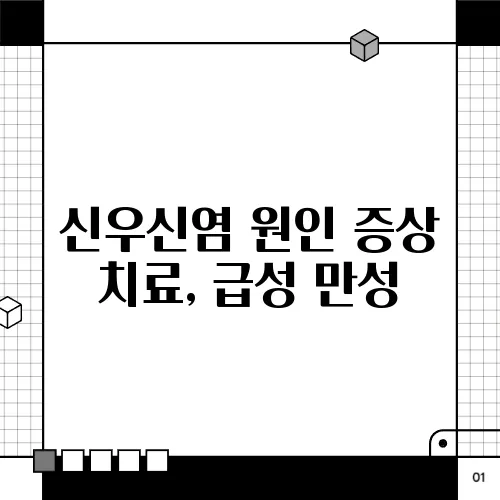 신우신염 원인 증상 치료, 급성 만성