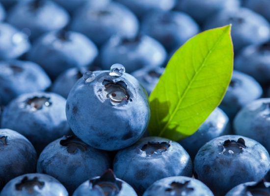 블루베리