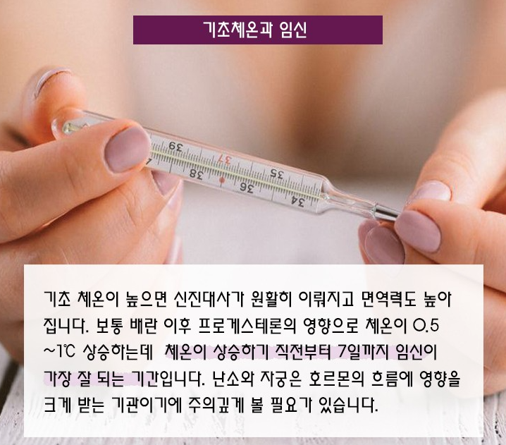 배란 확인 방법