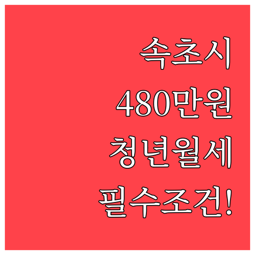 속초시 청년월세지원 480만원 받는 ..