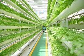 농업경영체 등록