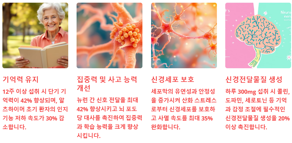 치매예방에 효과적인 이유