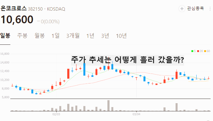 생성형 의료 AI 관련주 대장주 TOP5