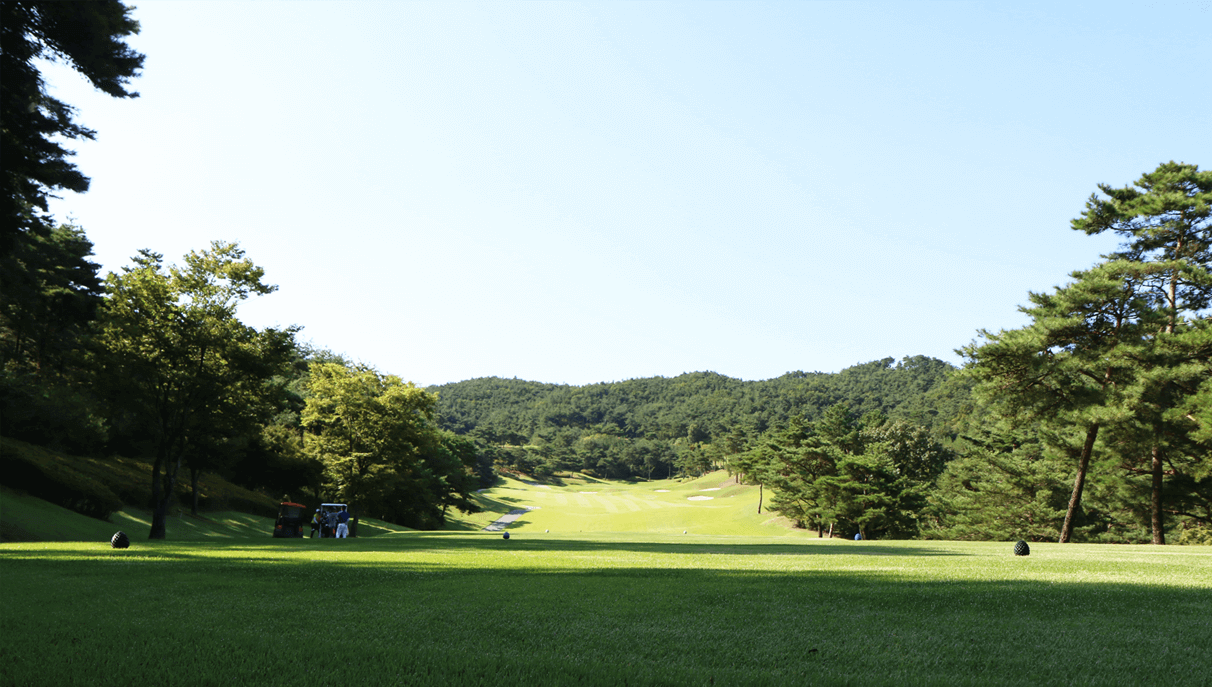 국내 골프장 순위 Top 50 및 대한민국 10대 골프장 골프링크스