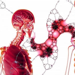 중국폐렴 관련주 대장주 테마주 수혜주 TOP5