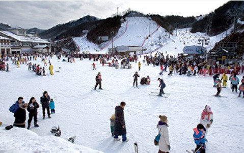 엘리시아-강촌-스키장에-모인-사람들
